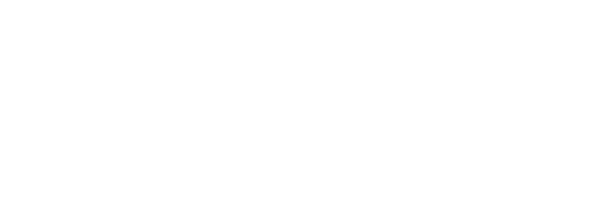 Невидимый фронт