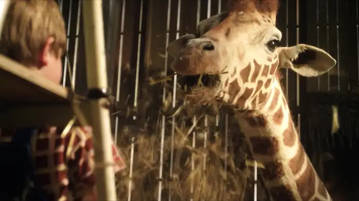 Трейлер (дублированный)