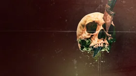 Сухая кровь