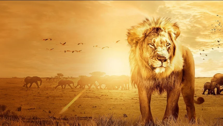 Заколдованное королевство