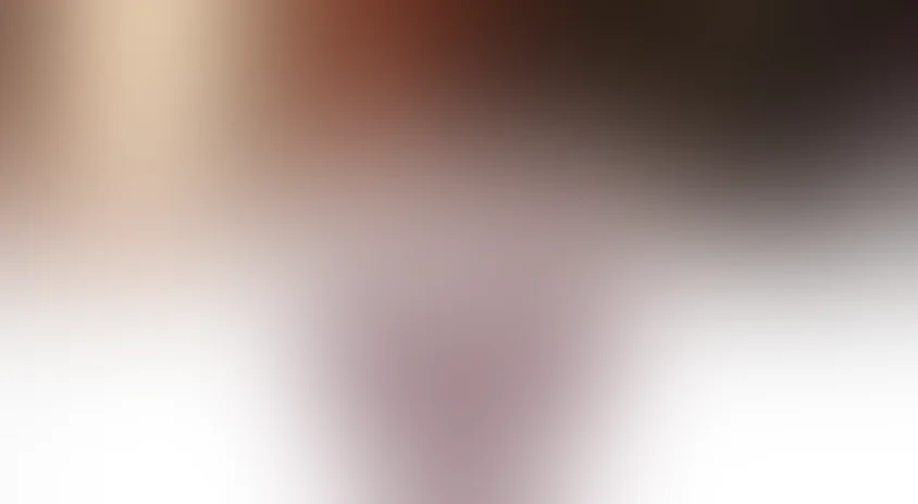 Галерея Вельвет