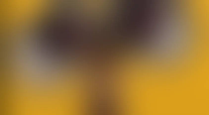 ВАЛЛ·И (на английском языке)