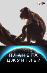 Планета Джунглей