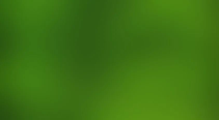 Прекрасная зеленая