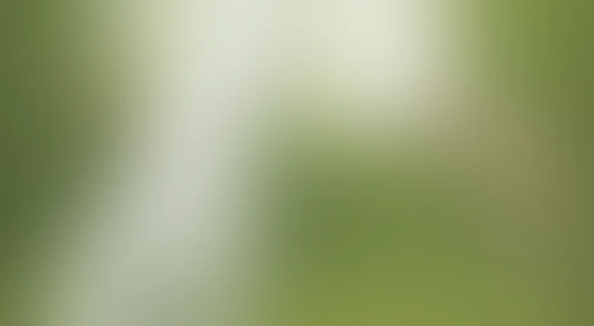 Я киборг, но это нормально