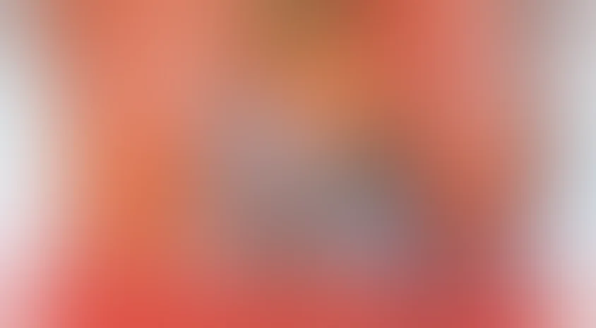 Каникулы Петрова и Васечкина, обыкновенные и невероятные