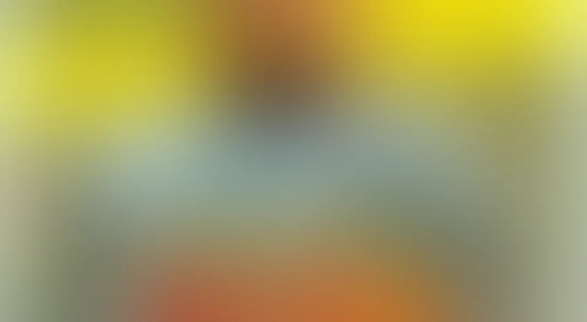 Бесстрашная гиена