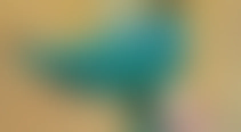 Мой зеленый крокодил