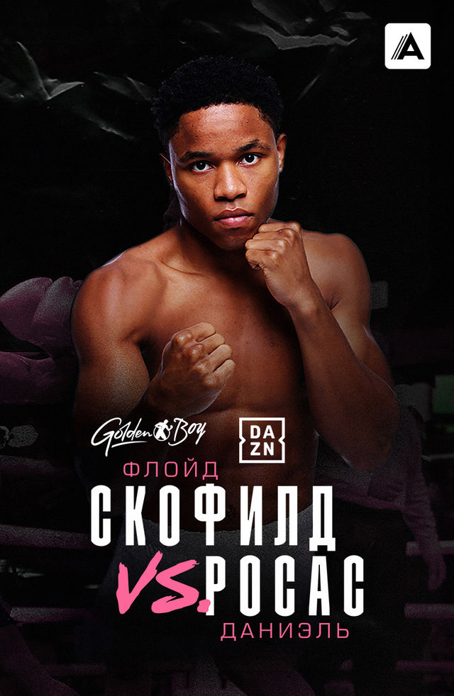 Chiroyli yalangoch yosh mushuklar