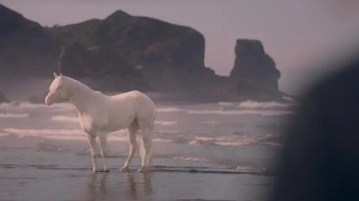 Трейлер (дублированный)