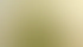 Круглый год