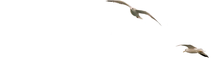 Сериал Чукур смотреть онлайн