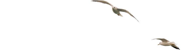 Чукур 2 сезон 37 серия