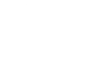 Дом на краю леса 1 сезон 1 серия