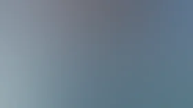 Отдел С.С.С.Р.