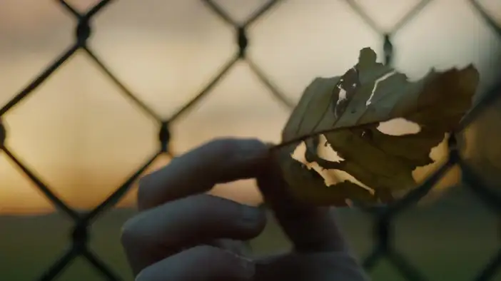 Трейлер (русский язык)