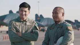 Степные ястребы