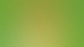 Мастер Тук-Тук