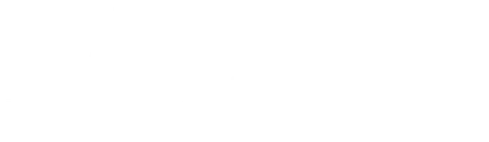 Самый дорогой и быстрый поезд в мире. Алексей Столяров