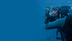 Подводный мир