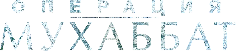 Операция Мухаббат (Сериал, 2018)