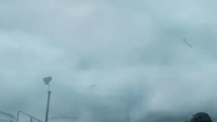 Трейлер (дубляж)