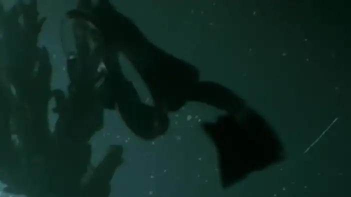 Фрагмент (английский язык)