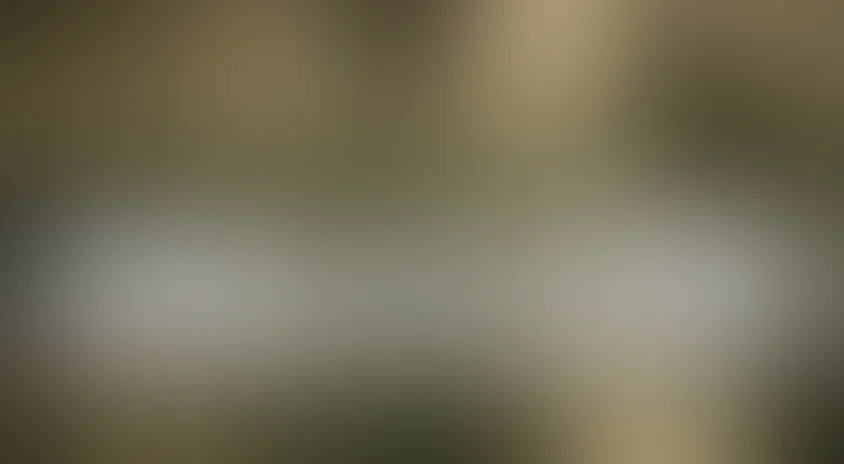 Боба и слон