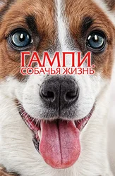 Гампи. Собачья жизнь