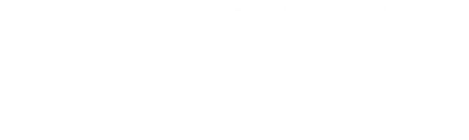 Зулусы
