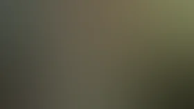 Следователь Протасов