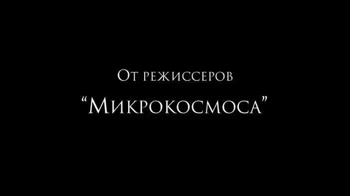 Трейлер (русский язык)