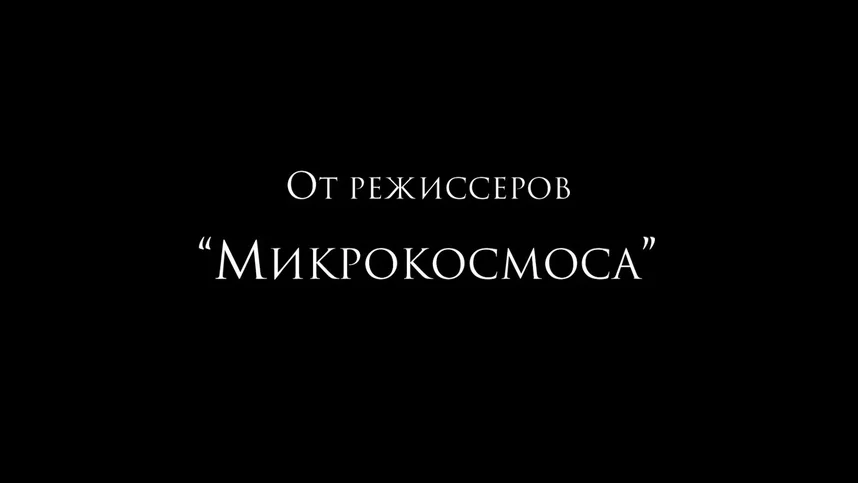 Сфера колдовства