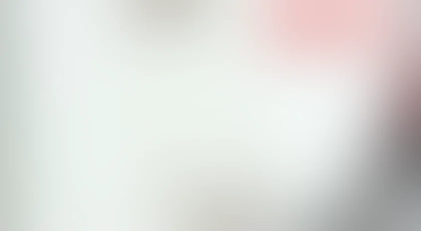 Сочувствие госпоже Месть