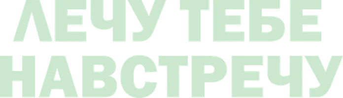 Лечу тебе навстречу