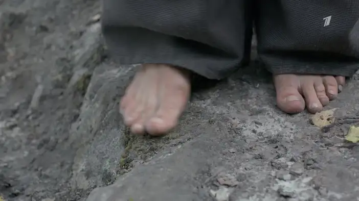 Трейлер (красота)