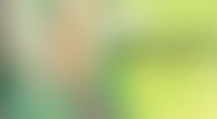 Командировка