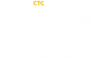 Дикий кот