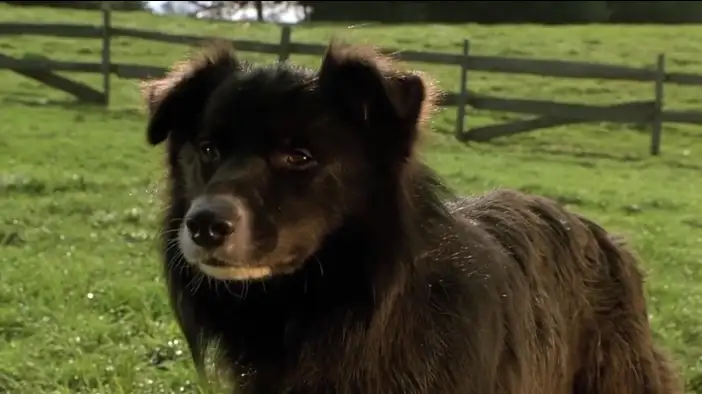 Фрагмент 7 (английский язык)