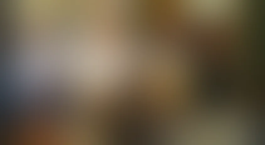 Всё включено