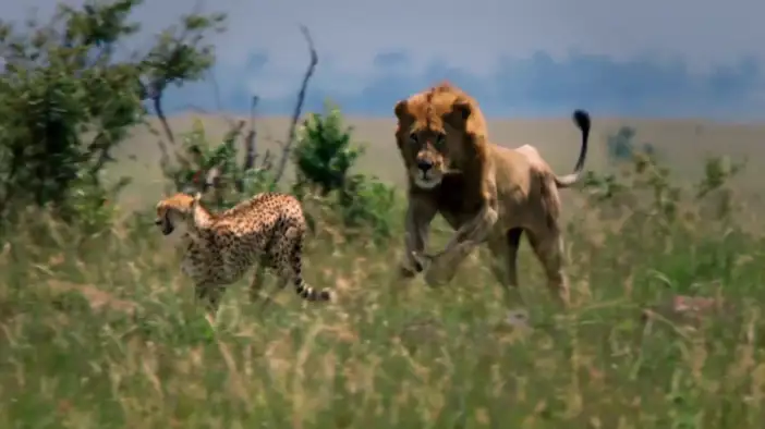 Трейлер (английский язык)