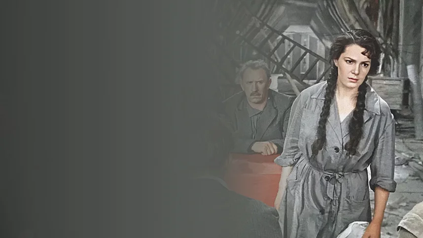 Добровольцы