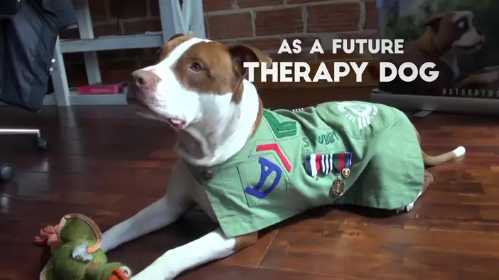 Промо-ролик (английский язык)