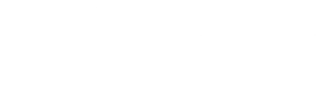 Братья по оружию