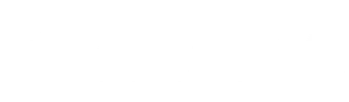 Президент Вигдис