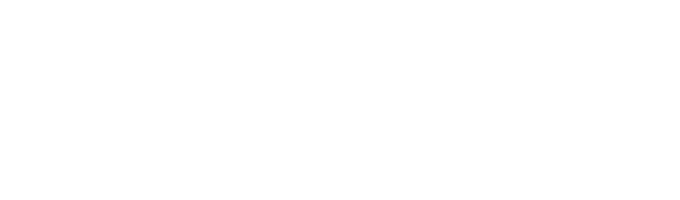 Президент Вигдис