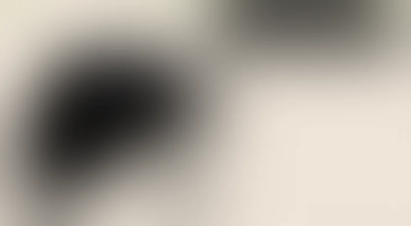 Тихие берега