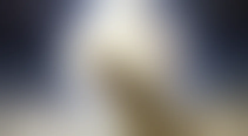 Лунный папа