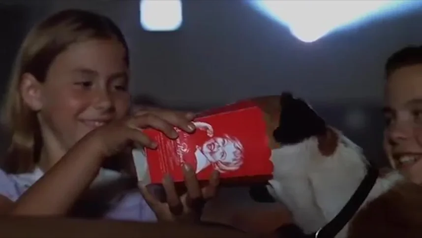 Мой пес Скип