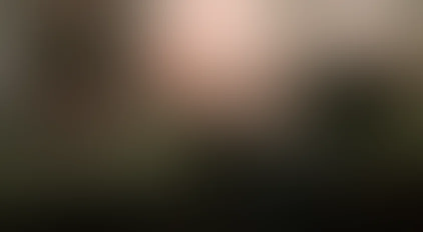 Пес Барбос и необычный кросс